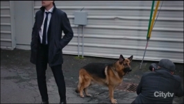 Hudson and Rex - Season 03 Episode 16